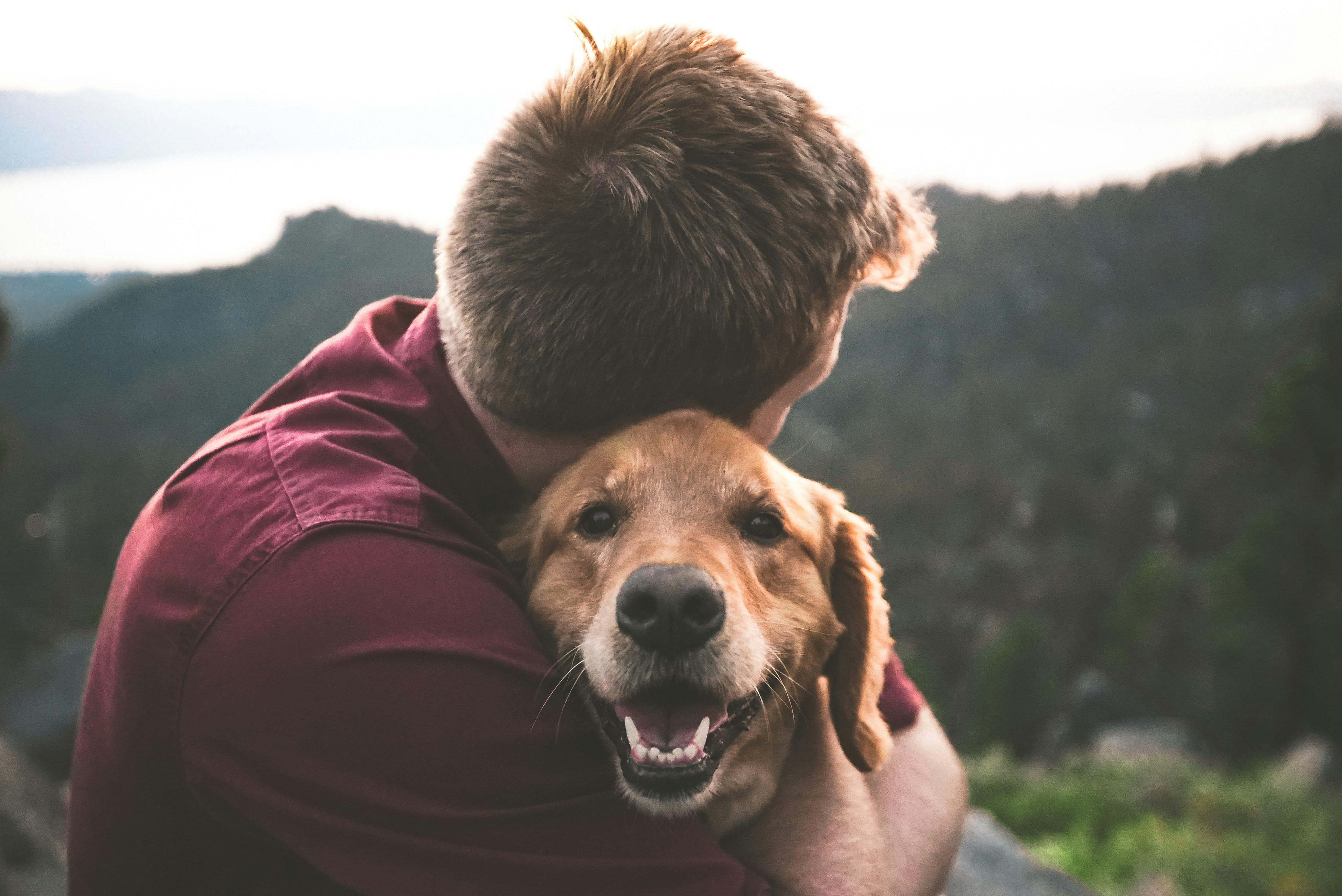 Pet-Name-Generator-NLP_Project